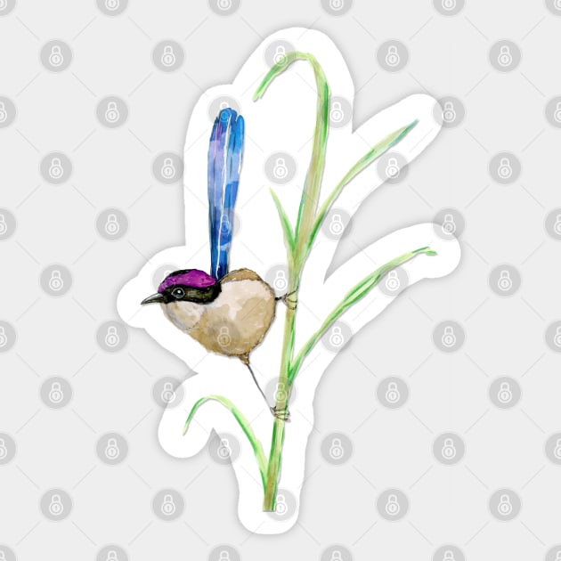 Purple-crowned fairywren Sticker by Bwiselizzy